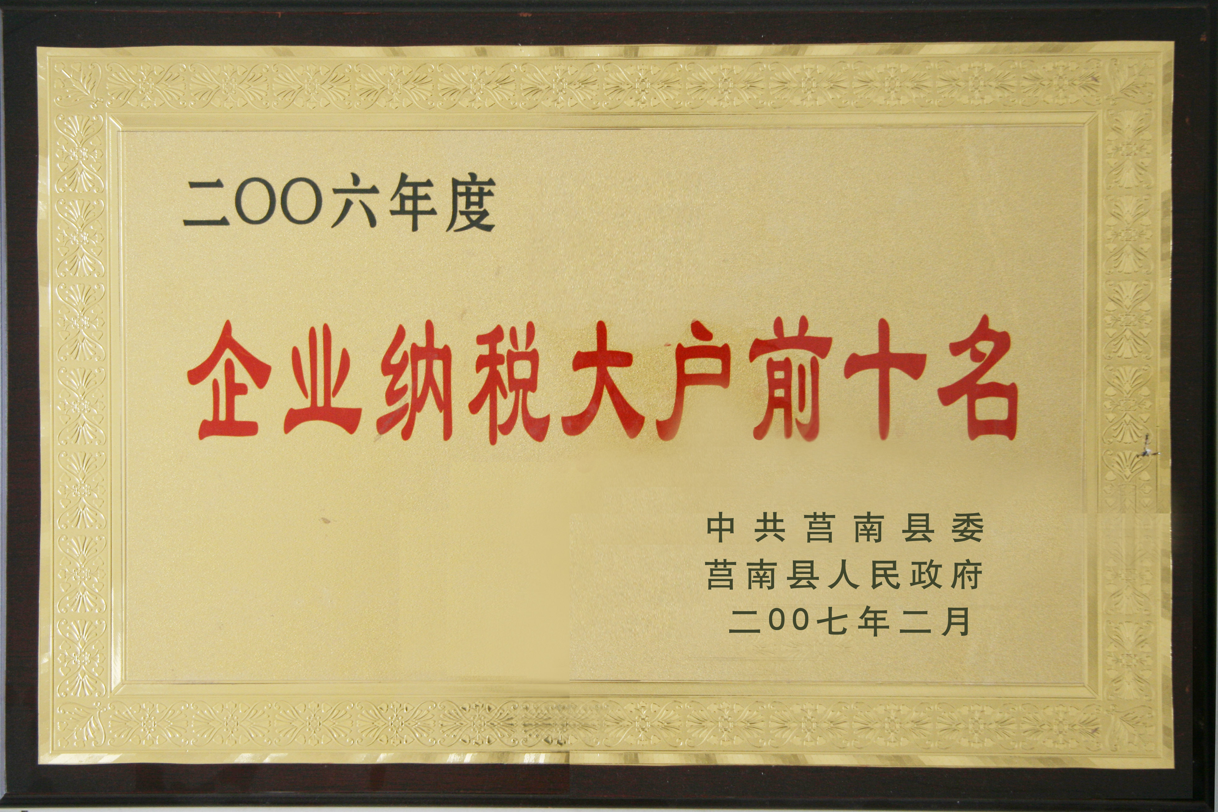 企业纳税大户前十名